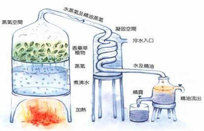 各种纯露的作用